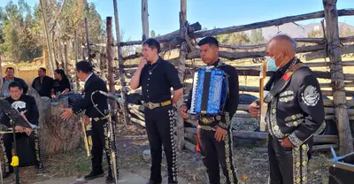 Mariachi Gavilan photo 3