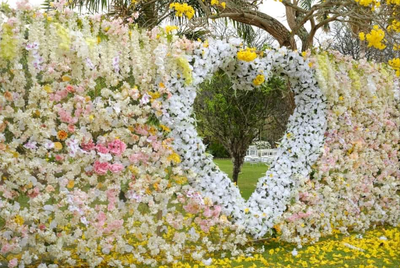 Deco Bodas photo 2