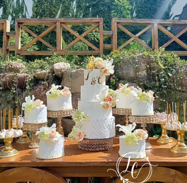 Portada de Limón y Chocolate pasteleria artistica 