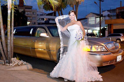 Lincoln Limousine photo 2