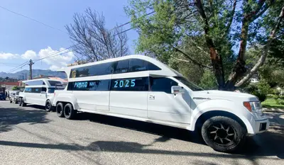 Limos Bolivia photo 2