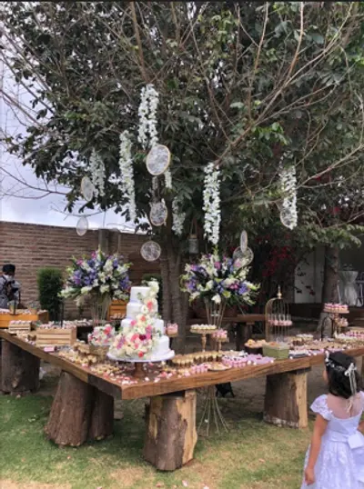 El Zarzal Jardin de Eventos photo 3