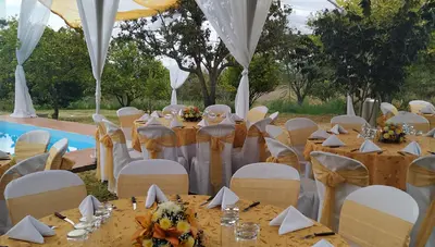 Alquiler de mesas y sillas photo 3