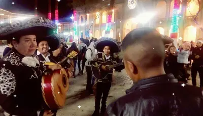 Mariachi Charros del Valle photo 1
